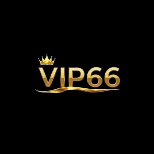 Vip66vnorg