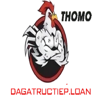 đá gà trực tiếp loan