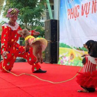 Dịch vụ xiếc chó thú vị – show chú cún biểu diễn cực đỉnh tại sinh nhật 5 sao