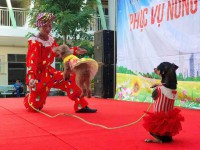 Dịch vụ xiếc chó thú vị – show chú cún biểu diễn cực đỉnh tại sinh nhật 5 sao