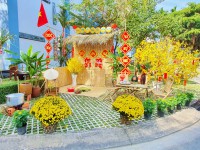 Thuê trang trí tiểu cảnh tết – mang mùa xuân về mỗi góc..