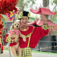 Thuê xiếc chó dễ thương – show biểu diễn thú cưng vui nhộn, an toàn, hấp dẫn nhấ