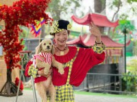 Thuê xiếc chó dễ thương – show biểu diễn thú cưng vui nhộn,..