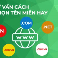 Tư vấn lựa chọn tên miền hay và đẹp dành cho các doanh nghiệp