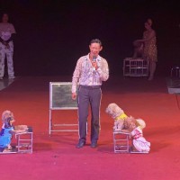 Xiếc chó dễ thương – màn biểu diễn độc đáo, vui nhộn cho mọi sự kiện | sinh nhật